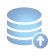 DBMS